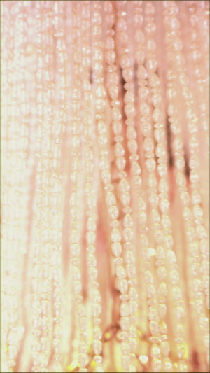 GULNAAR